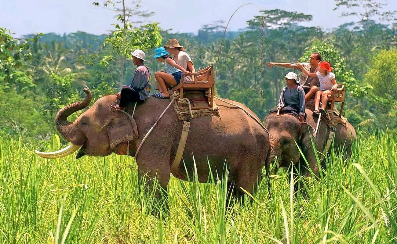 Canter Safari Jim Corbett